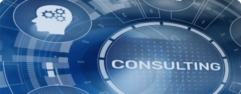 CRM Consulting